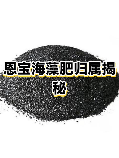 山东恩宝海藻肥怎么样图标