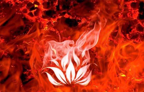 斗罗红莲业火九阳神功缩略图