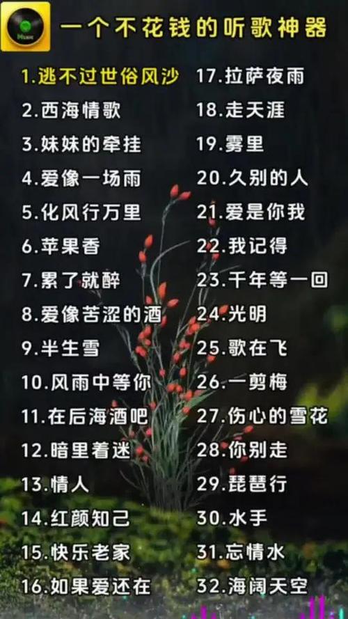 番茄老歌500首图标