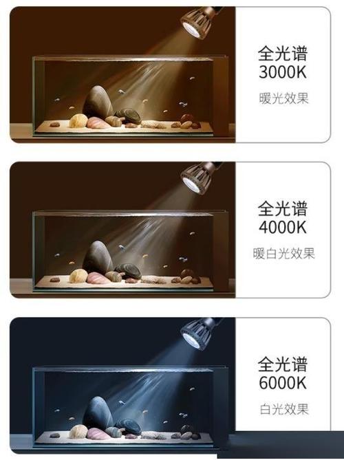 鱼缸需要灯光照射吗