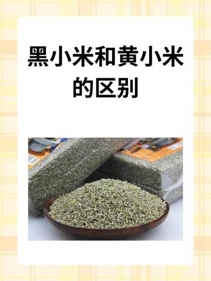 小米阅读书币和书豆区别图标