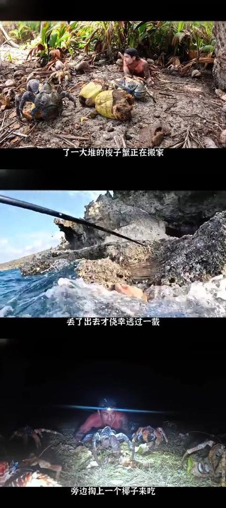 荒岛求生下载图标