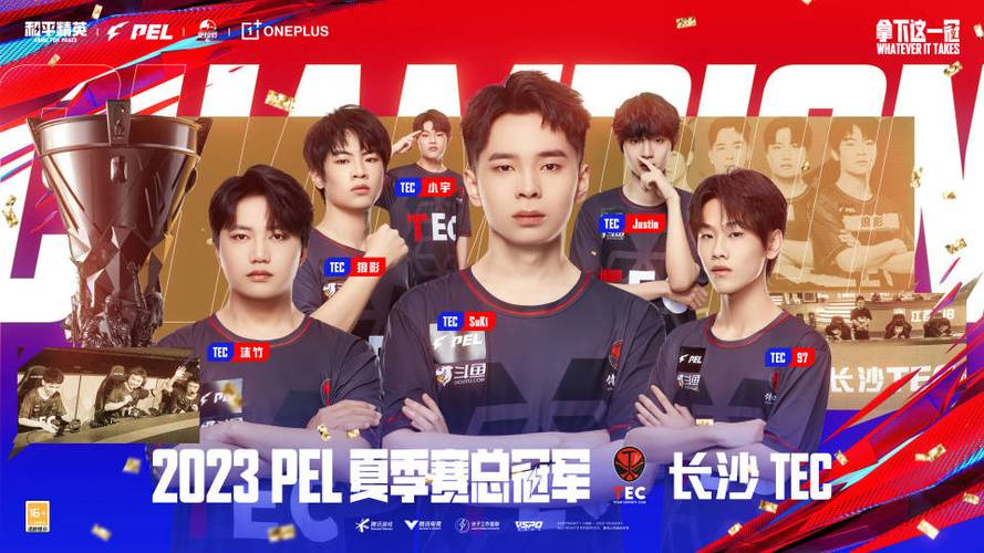 和平精英怎么打战队赛截图