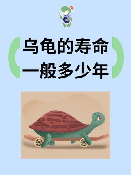 王八寿命最长多少年缩略图