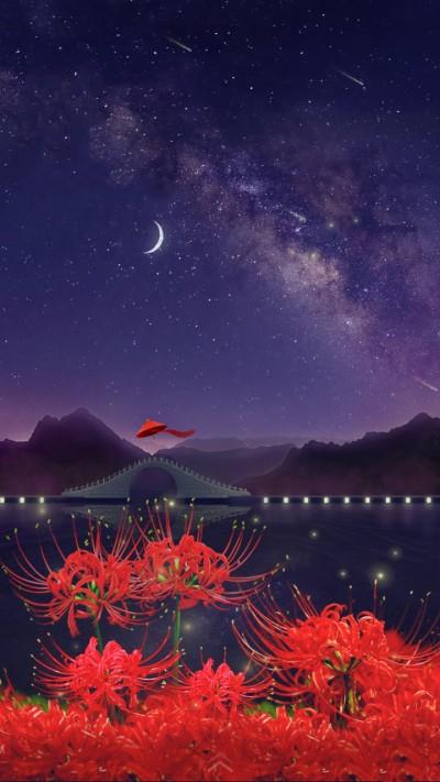 彼岸无花小说免费阅读图标
