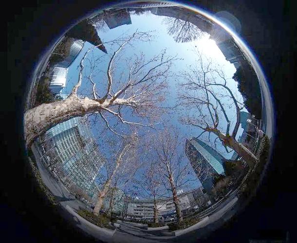 超广角视野修改器免费版截图