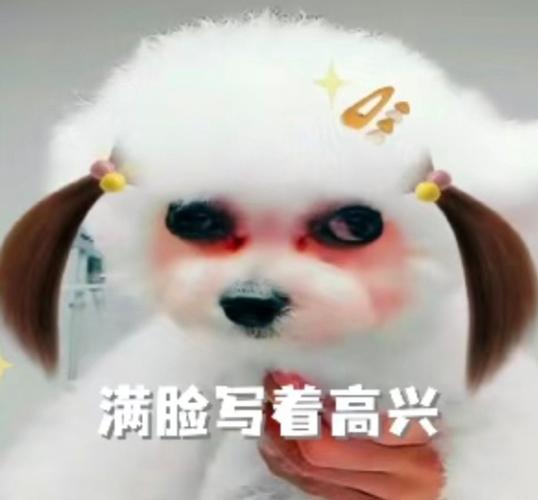 恶搞图片 表情包游戏截图