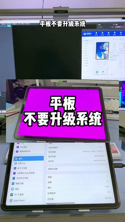 ipad玩游戏老闪退怎么办