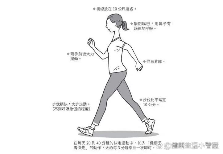 每分钟走多少步算快走截图