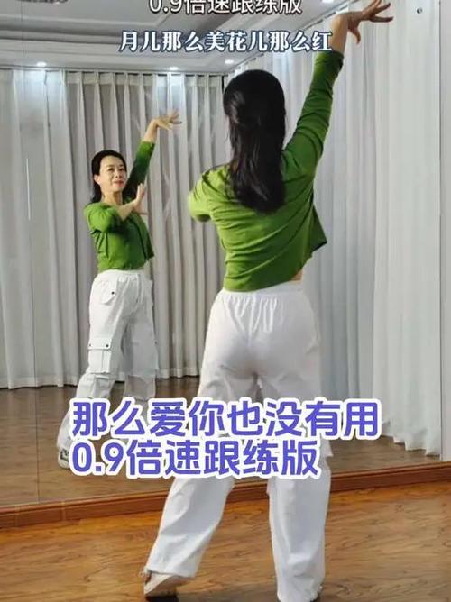 零基础学跳舞的软件哪个最好游戏截图