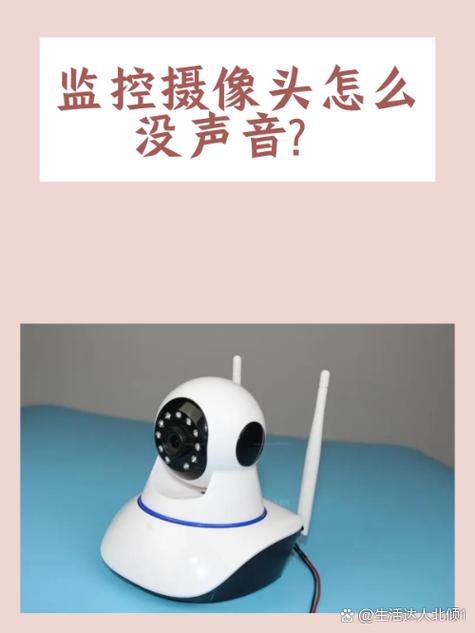 监控摄像头没有声音游戏截图