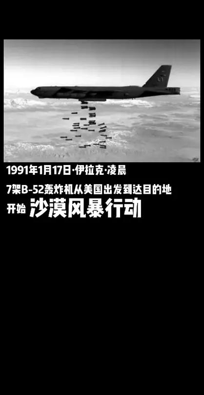 小说沙漠风暴戴安娜截图