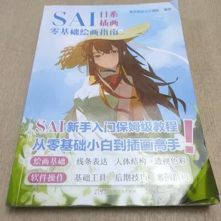 sai有必要买正版吗