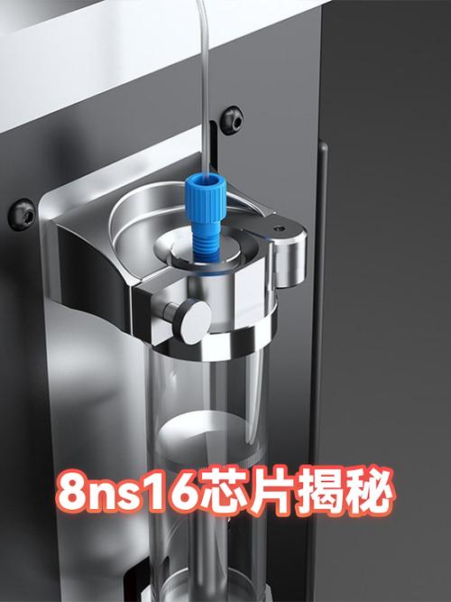 ns16位兑换码免费截图