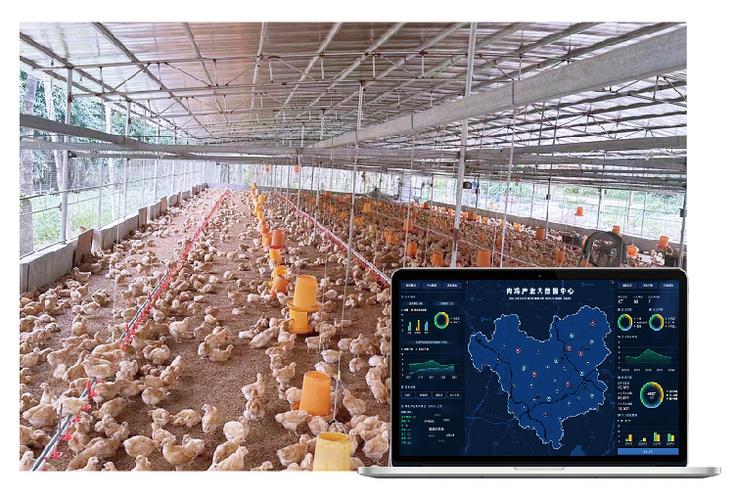 离我最近的养鸡场截图