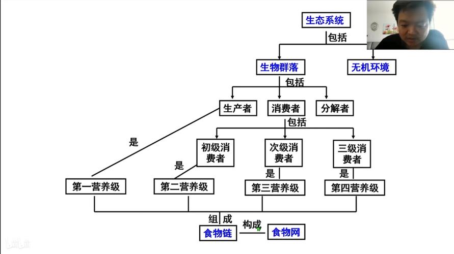 生态系统的结构导入缩略图