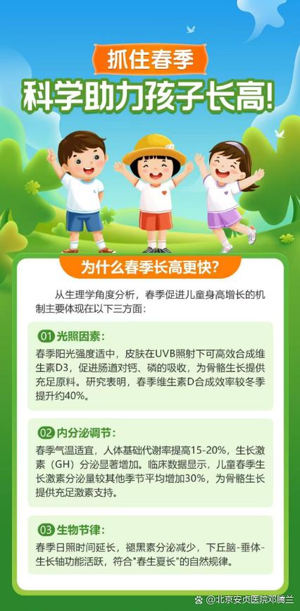 长高百度网盘资源图标