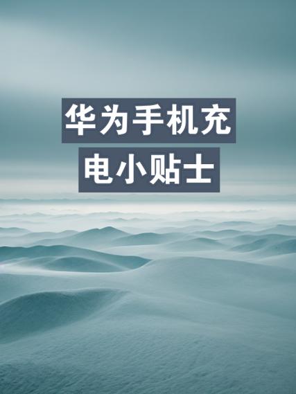华为手机电池第一次怎么充电最好游戏截图