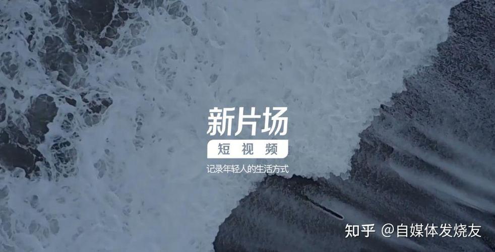 易撰素材库免费入口截图