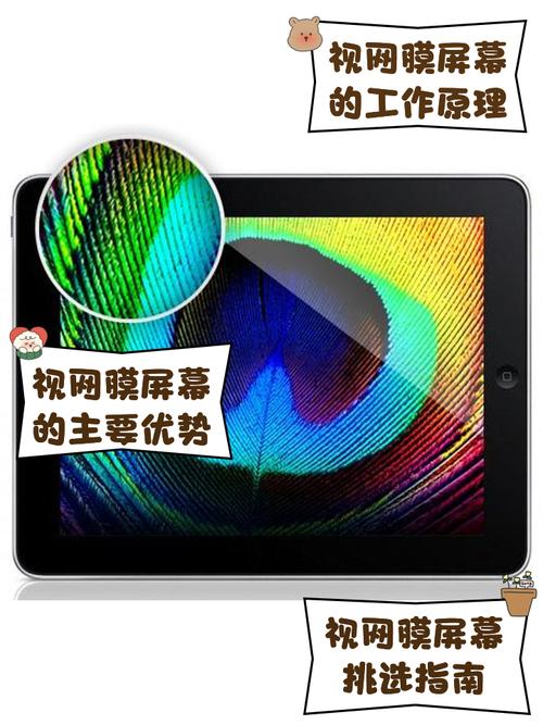 钉钉的屏幕共享在哪缩略图
