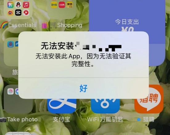 苹果安装量已达到限制怎么解决截图