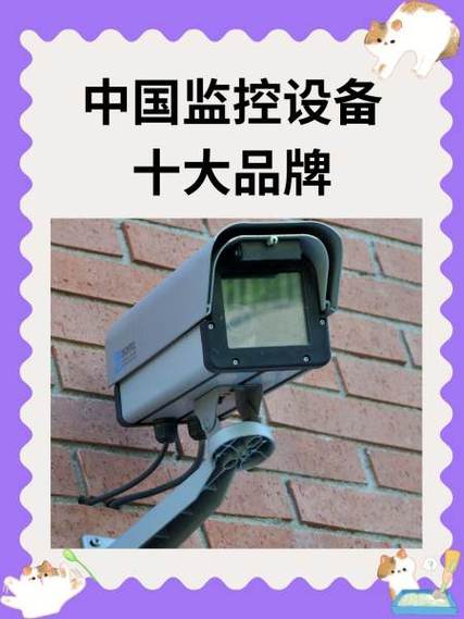 国产监控品牌前十名截图