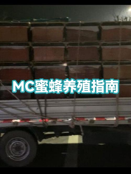 mc怎么把蜜蜂放进蜂箱缩略图