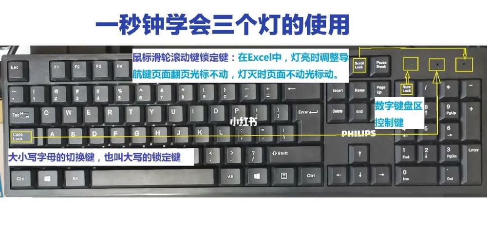 数字键盘三个灯都亮了怎么弄截图