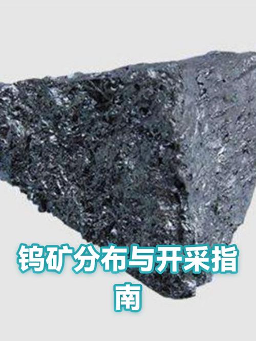 世界最好的挖矿地在哪里截图