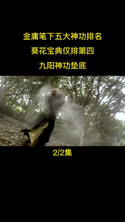 九阴真经 九阳神功缩略图