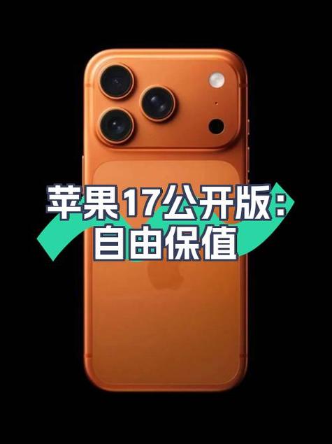 苹果定制机可以刷全网通吗截图