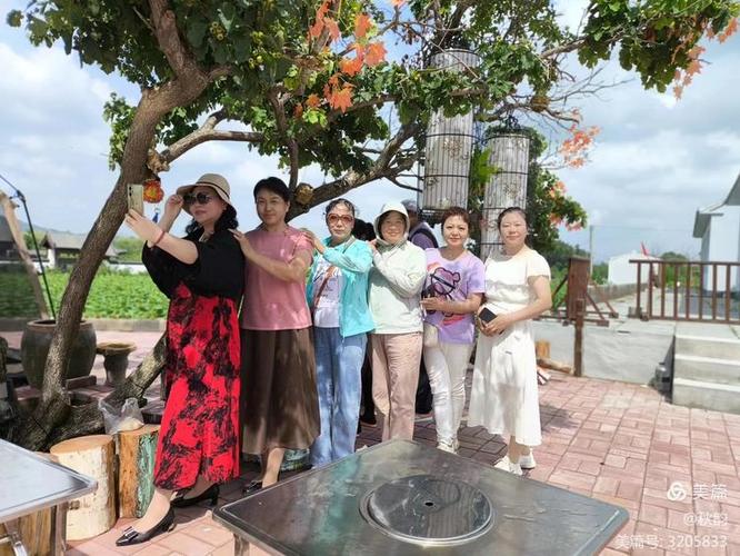 老年交友平台图标