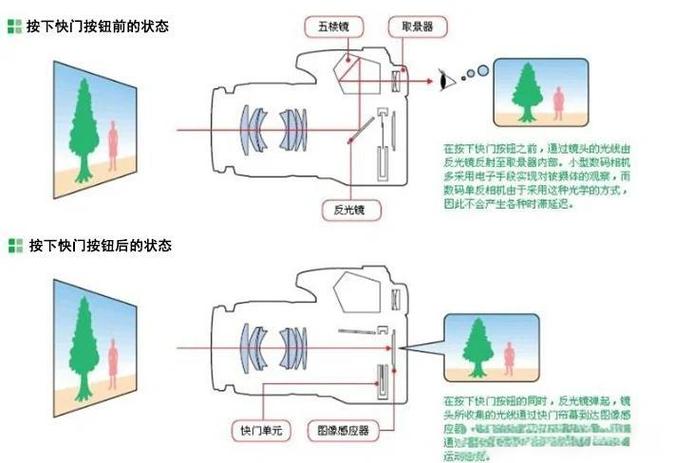 单反相机与微单相机截图