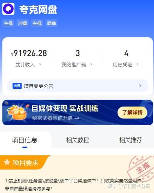 百度网盘下载的文件突然消失