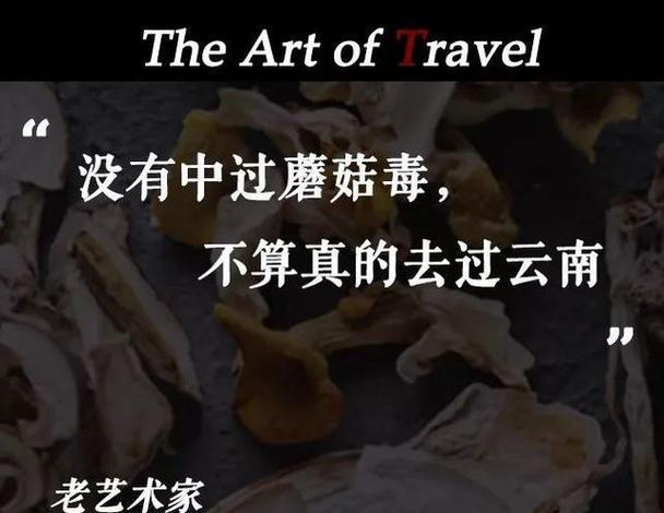 人吃蘑菇能量是单向流动吗截图