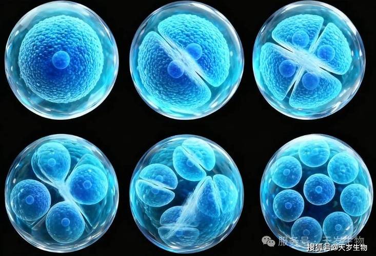 生物进化的研究方法缩略图