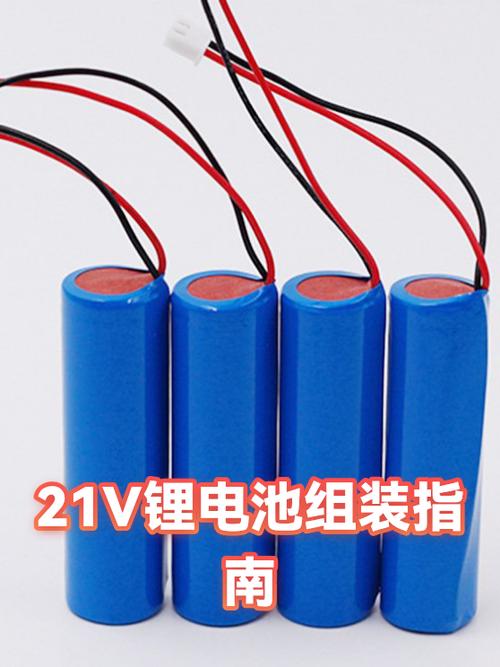 48v20a锂电池组装图解游戏截图