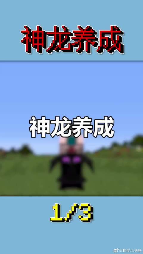 MC最强神龙