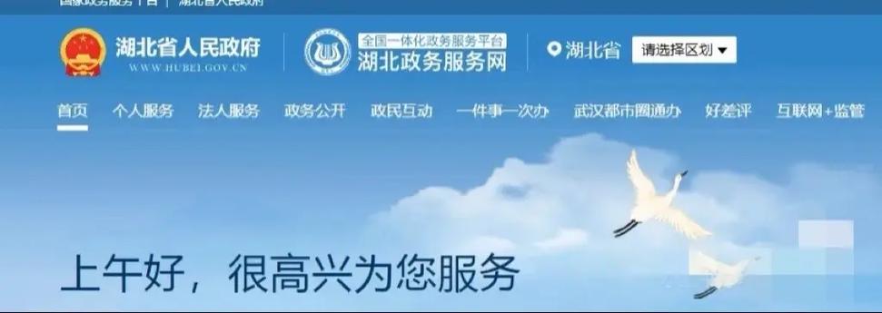 登录湖北政务服务网游戏截图