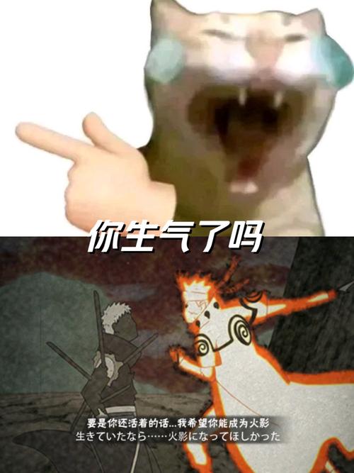 我在火影窃取万物截图