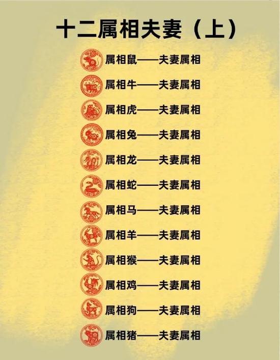 十二生肖的婚配表图标