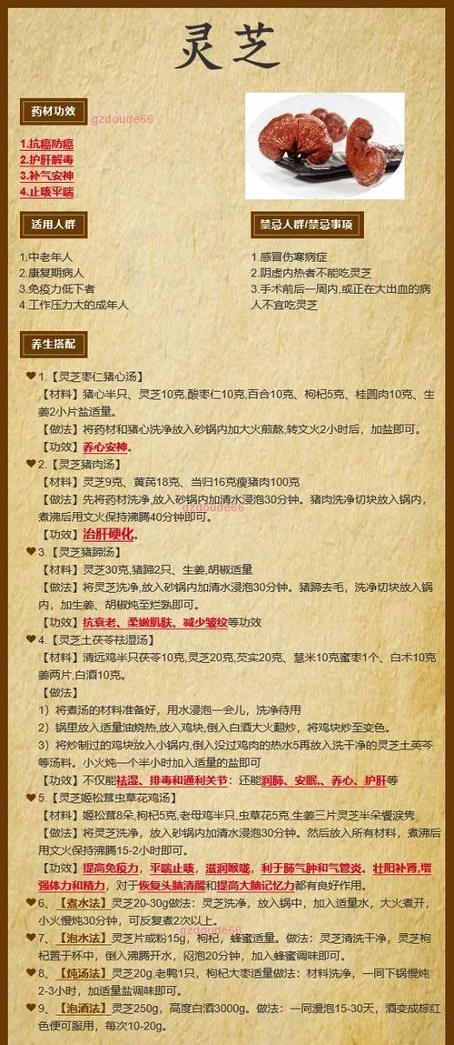 灵芝的功效与作用泡水喝的功效缩略图