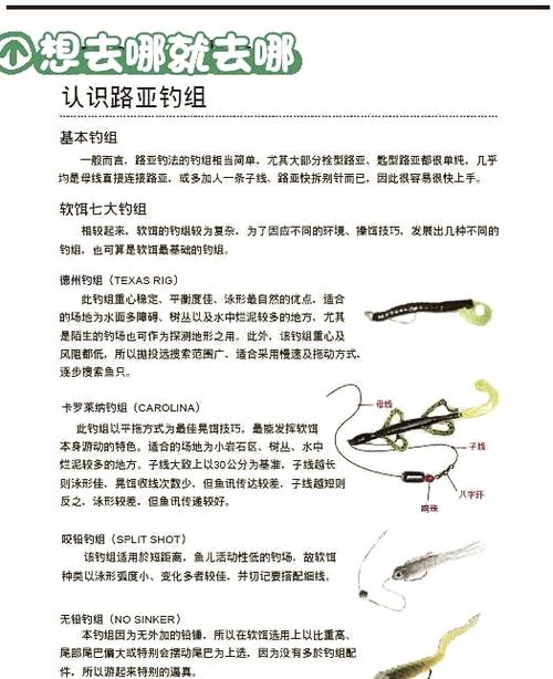 路亚竿水滴的使用方法截图