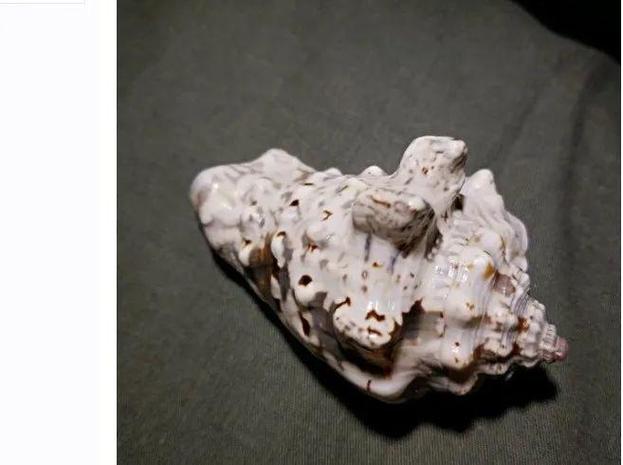 海螺电子包浆生成器游戏截图