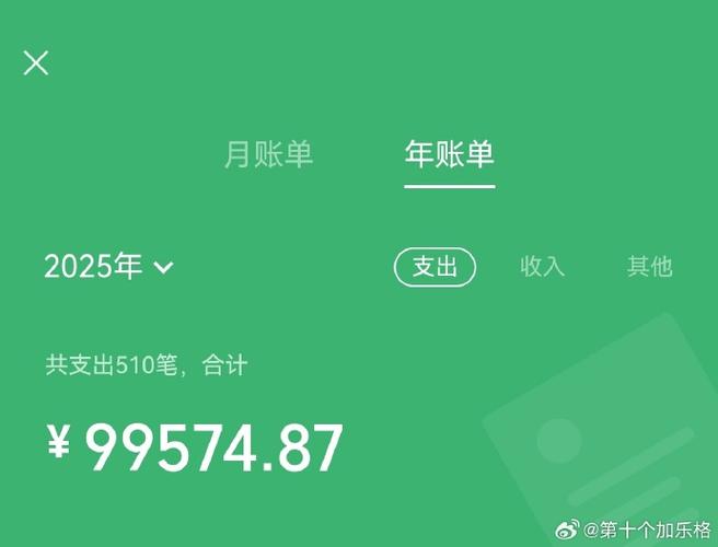 微信查看一年的总支出图标