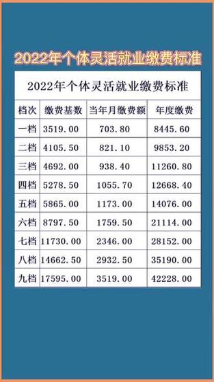 河北邯郸社保缴费标准游戏截图