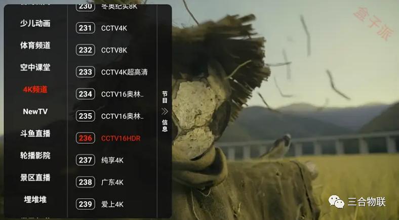 龙门影视稳定配置源地址