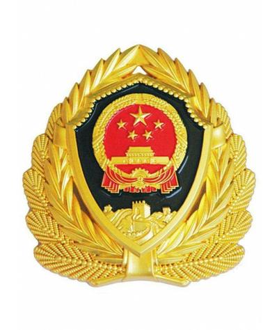 中国各部队徽章游戏截图