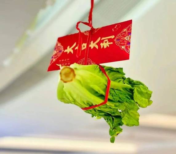 种菜领红包下载