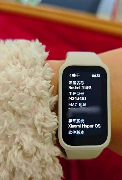红米手环3下载第三方软件截图